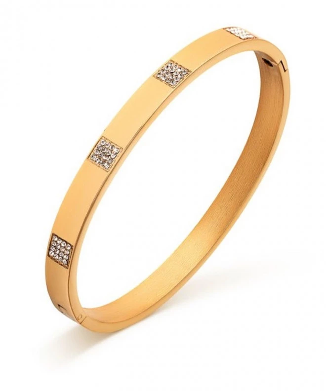 Браслет Pierre Ricaud Gold PR161.1WZ