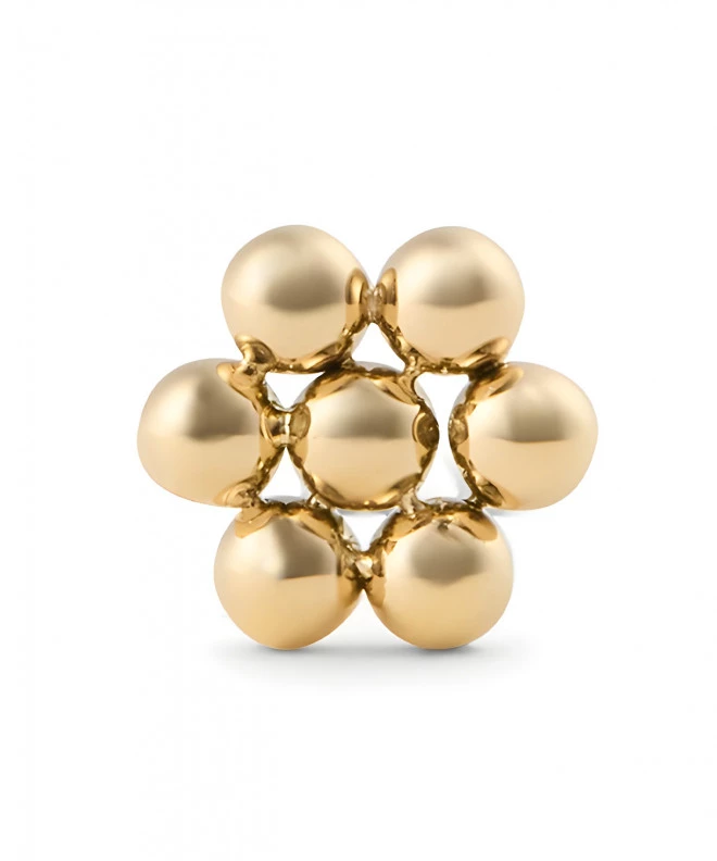 Сережки Daniel Wellington Flower Stud Gold DW00400863