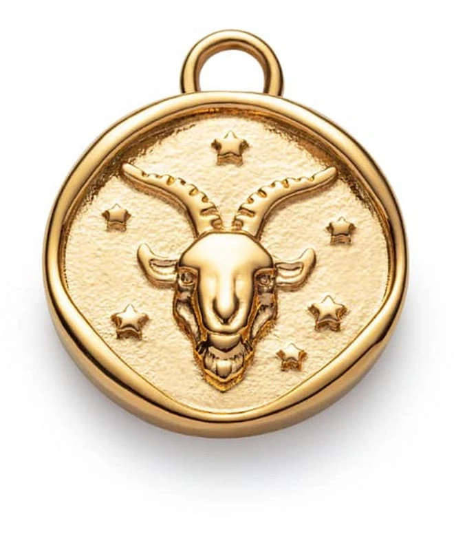 Підвіска Paul Hewitt Capricorn PH-JE-1212