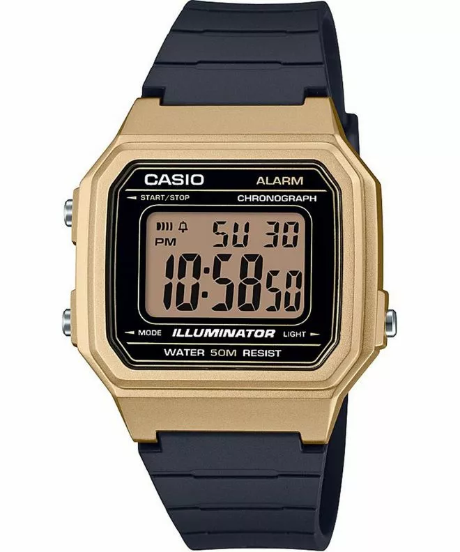 Годинник Чоловічий Casio Oldschool W-217HM-9AVEF