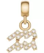 Підвіска Daniel Wellington Charm Gold Aquarius