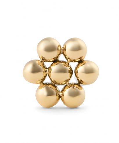 Сережки Daniel Wellington Flower Stud Gold