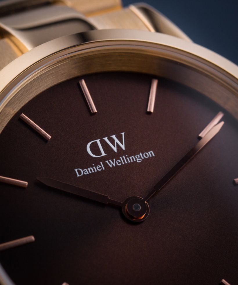 Годинник Жіночий Daniel Wellington Iconic Link Amber 32