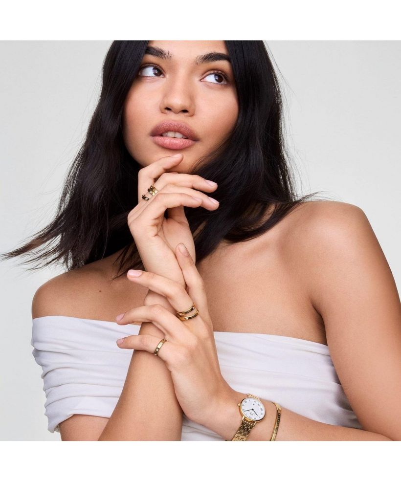 Годинник Жіночий Daniel Wellington Petite Roman Numerals Date 5-link Gold